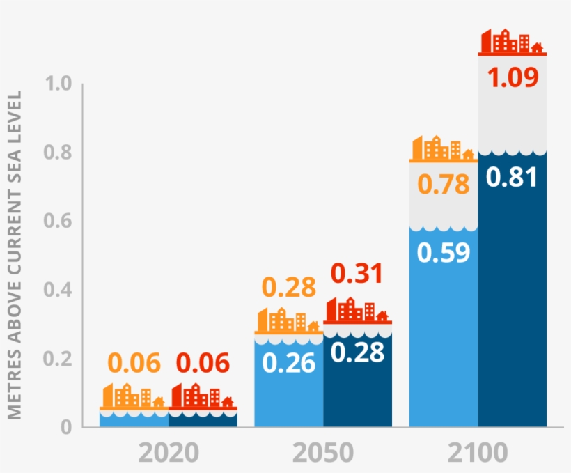 Carters Point, Ns - Seal Cove, transparent png #3730137