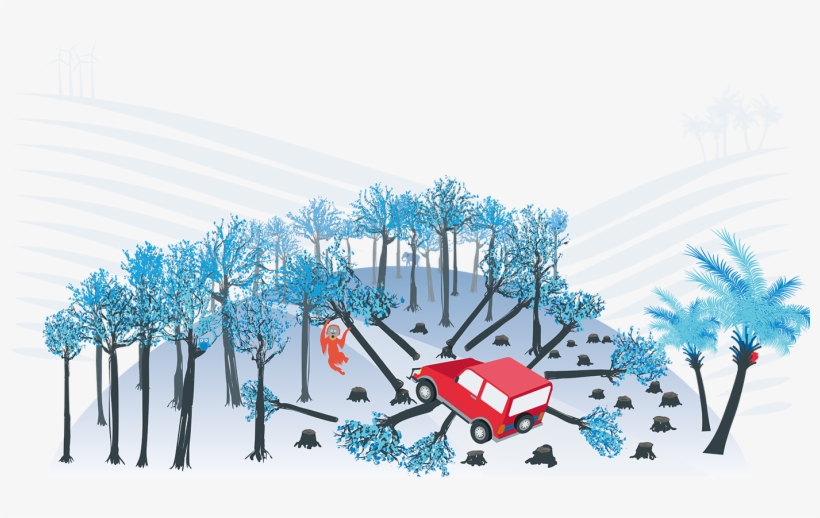Front Cover Image From The Driving Deforestation Report, transparent png #3730814