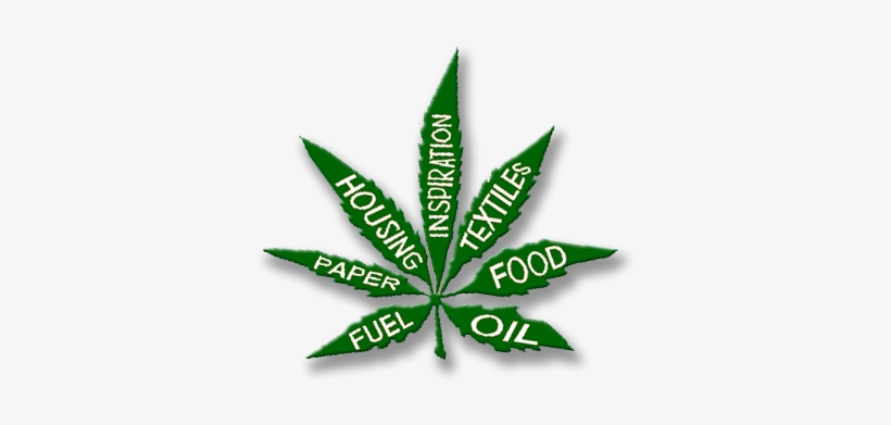 My Further Argument To This, Is That Hemp Oil Is A - Industrial Hemp Png, transparent png #3731759