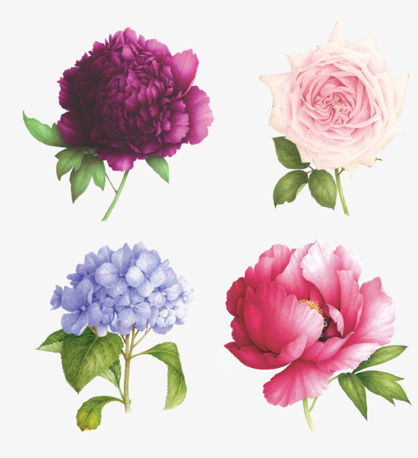 Perennial Set - Scented Floral Temporary Tattoos, transparent png #3732551