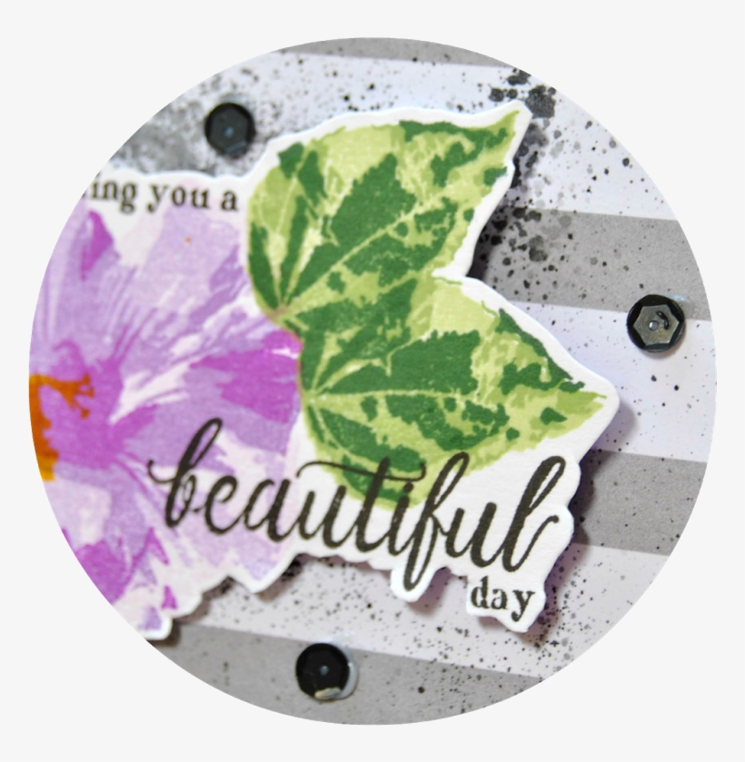 Perennial Beauty - Circle, transparent png #3733326