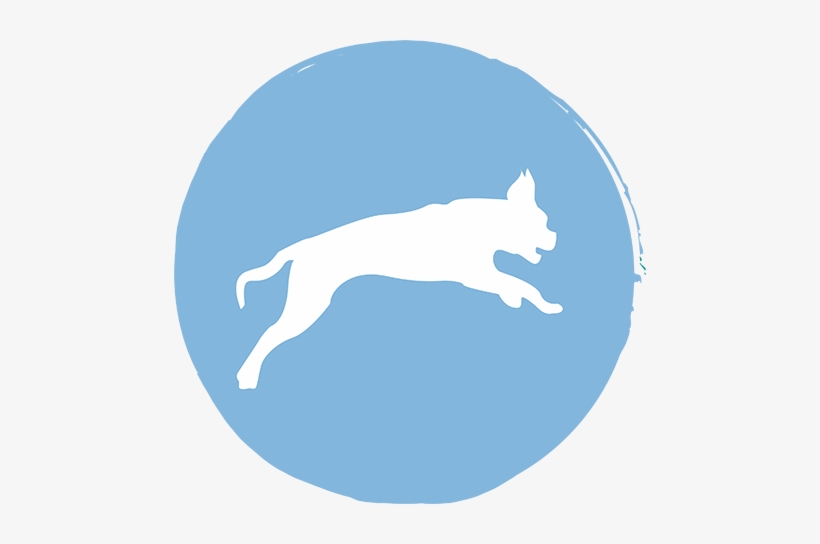 Immune Support - Immune System, transparent png #3734010