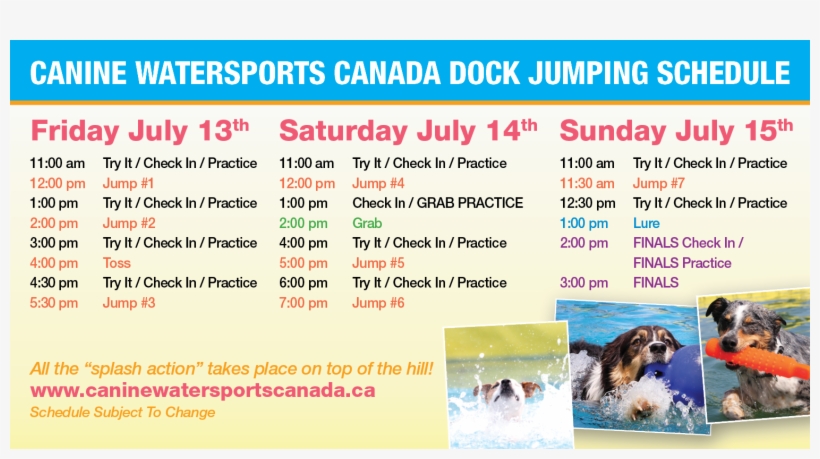 Canine Watersports Canada - Companion Dog, transparent png #3734154