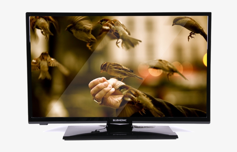 28" High Definition Led Tv - Sparrow Hand, transparent png #3734498