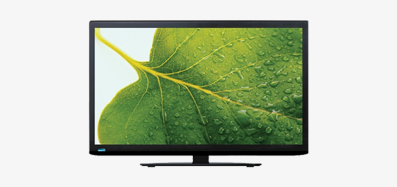 Armco 24 Inch Hd Led Digital Tv Features & Specs - Bereavement And Grief Adult Coloring Book: And Grief, transparent png #3735002