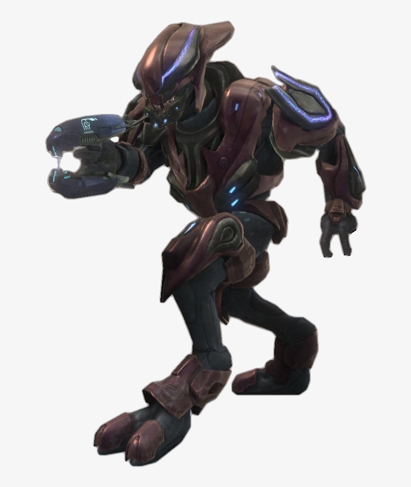 Halo Reach Elite Zealot - Halo Zealot, transparent png #3735354