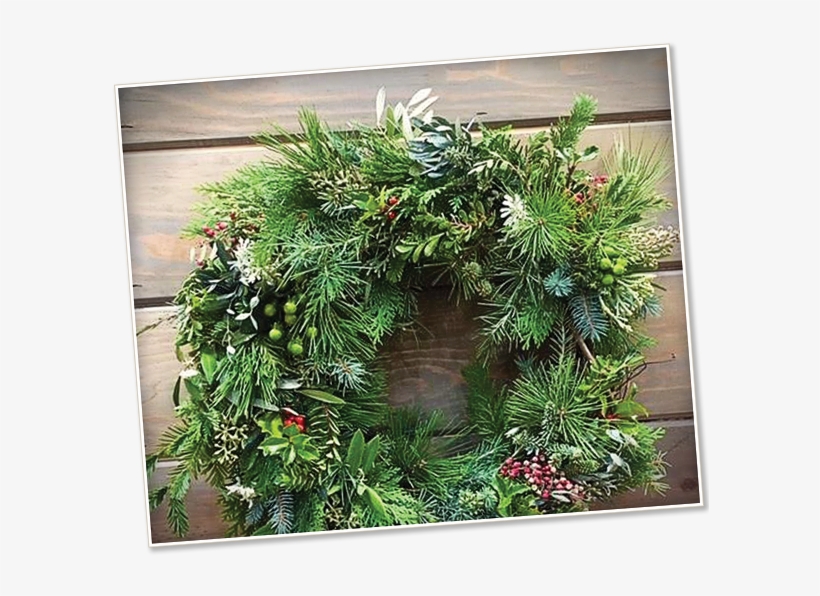 Image Of A Holiday Wreath - High-hand Nursery, transparent png #3736210