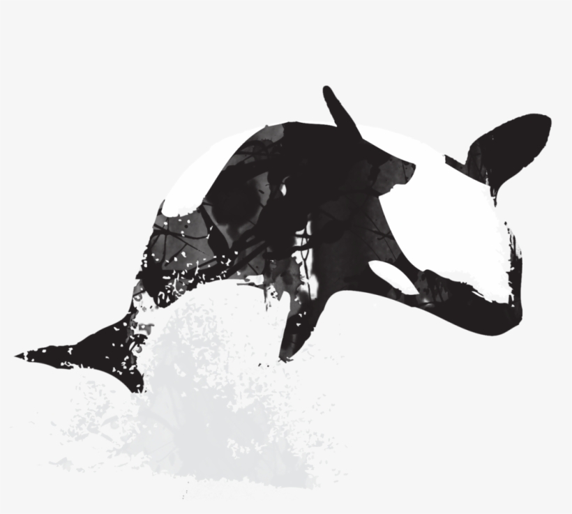 Free Download - Art, transparent png #3736421