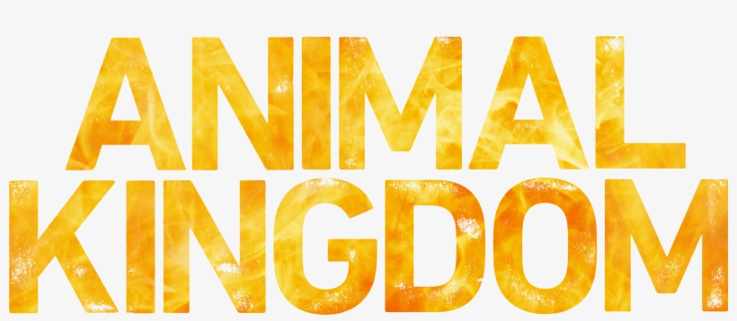 Congratulations To Our Winner - Animal Kingdom Series Logo, transparent png #3737913
