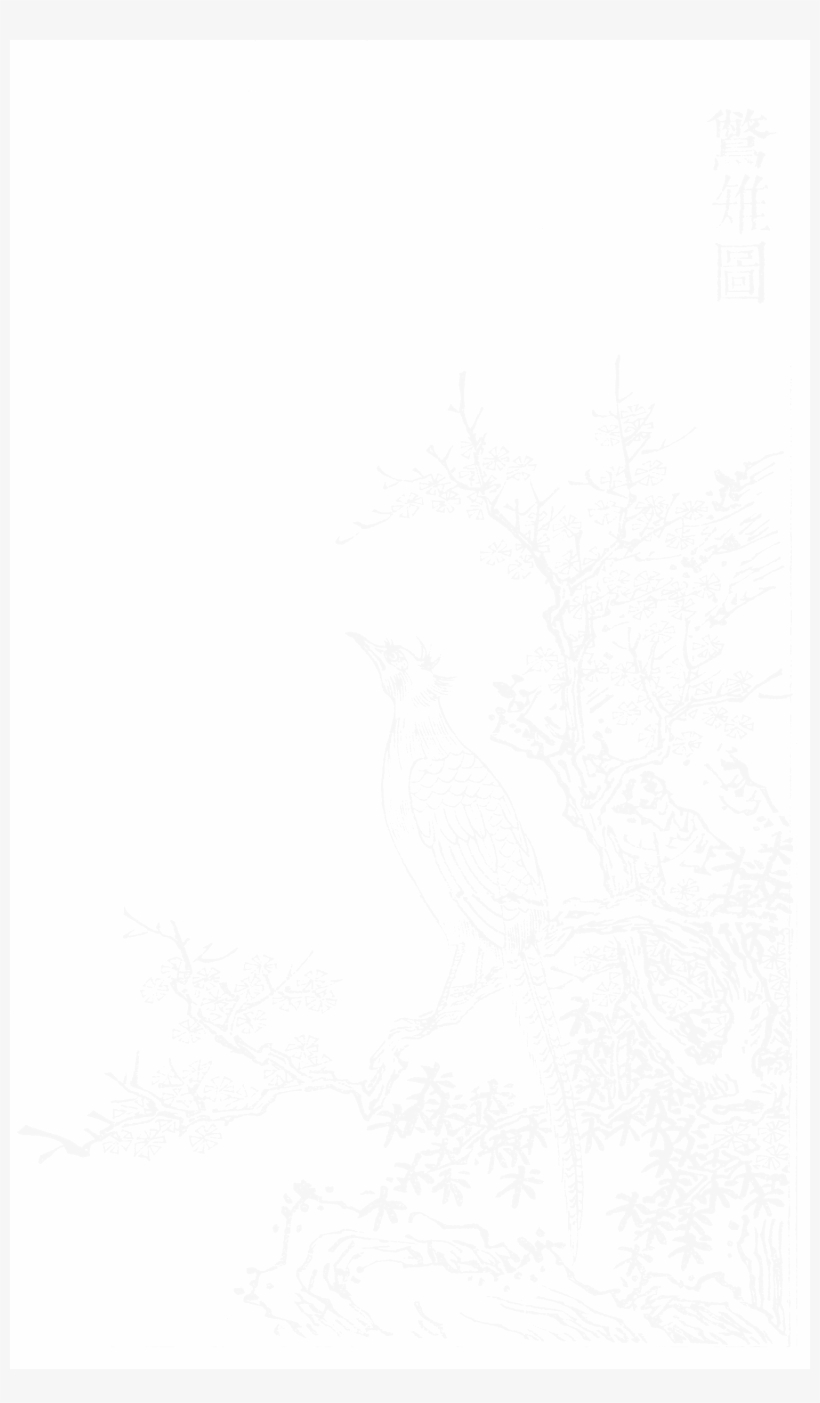 File - Imperial Encyclopaedia - Animal Kingdom - Pic018 - Illustration, transparent png #3738027