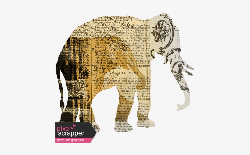 Animal Kingdom - Zoo Collage - Elephant - Verlichting In Nederland 1650 1850 Jan Wim Buisman, transparent png #3738034