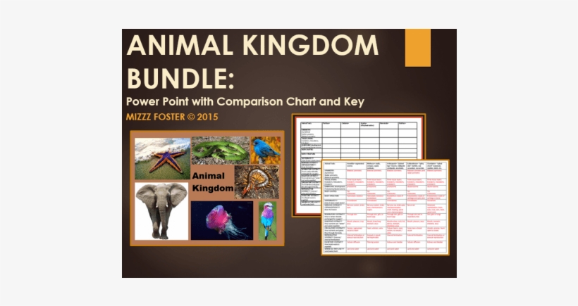 Animal Kingdom Bundle - Microsoft Powerpoint, transparent png #3738079