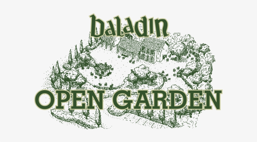 Hello, I Am Teo Musso, The Daddy Of Craft Beer In Italy - Baladin, transparent png #3738307