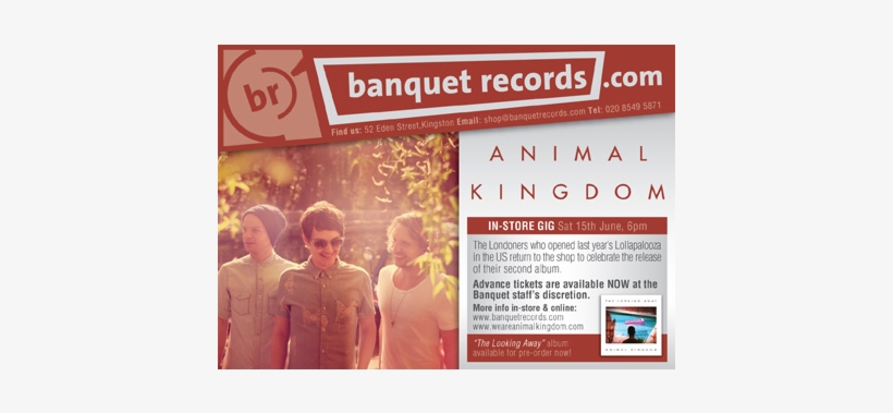 Animalkingston - Tonight Alive, transparent png #3738550