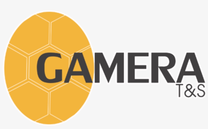 Ver Mas - The Gambia Scout Association, transparent png #3738777