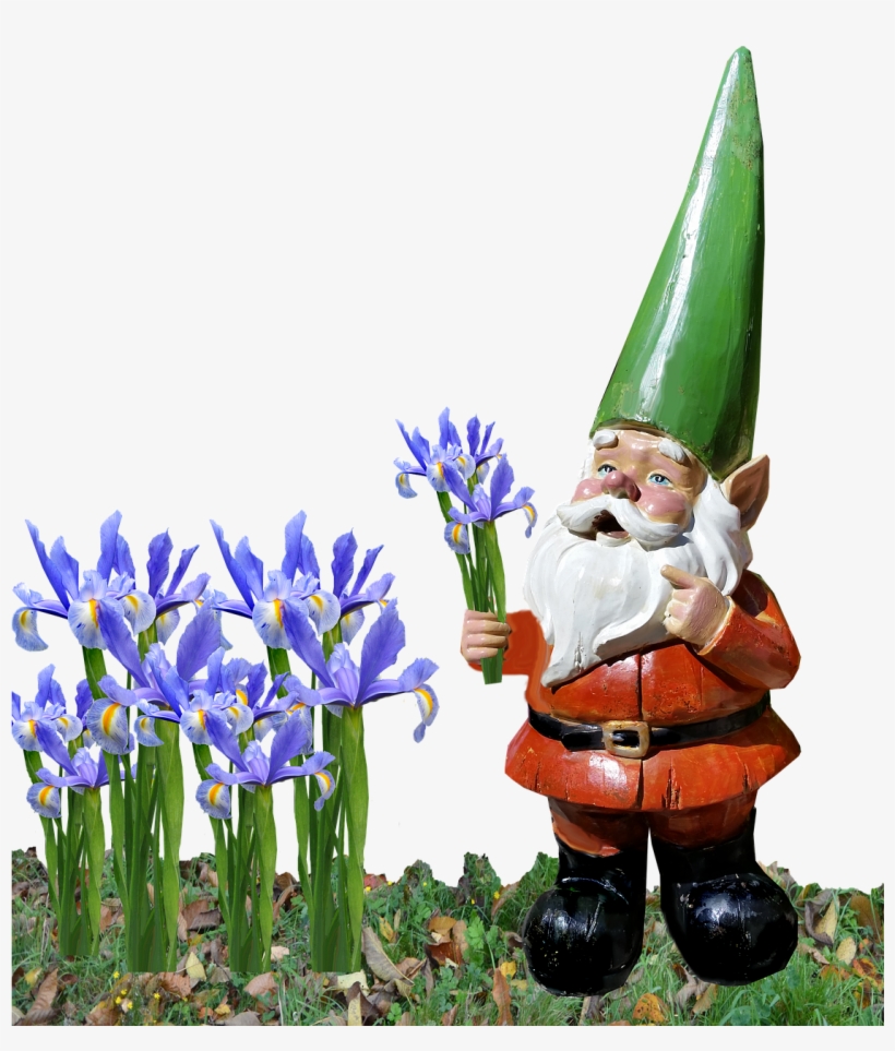 Gnome Iris Garden - Iris, transparent png #3740346