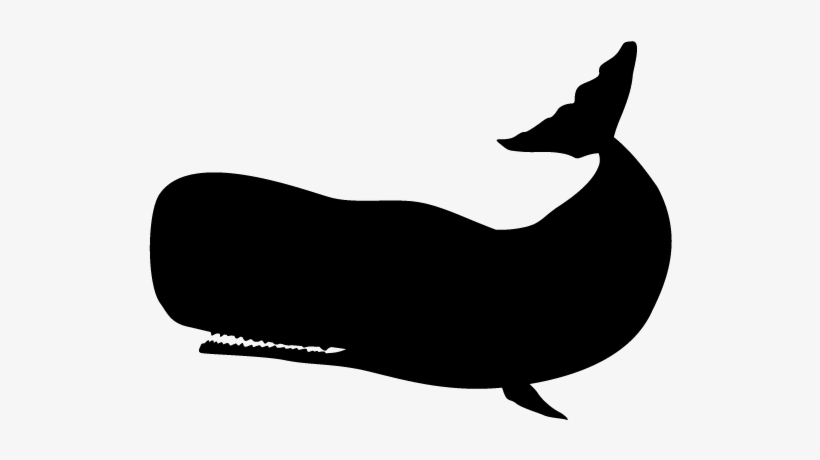 View All Images-1 - Transparent Whale Silhouette, transparent png #3740963