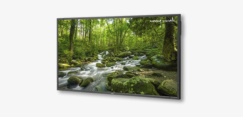 65" X651uhd, Ops Tcis Ps, 1yr 4k Moving Murals Content - Nec X Series X651uhd-mm - 65" Commercial Led Display, transparent png #3741019
