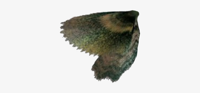 According To A Timeline Of Major Developments In The - Golden Eagle, transparent png #3741024