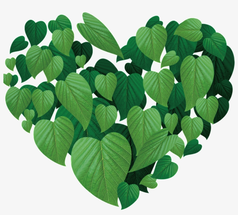 Leaf Heart Effect Design - 感人肺腑大愛故事精選輯, transparent png #3741046
