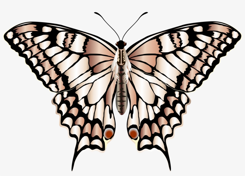 Portable Network Graphics, transparent png #3741206