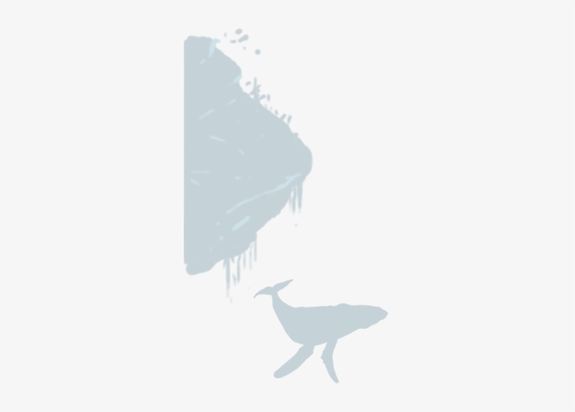 Support Oceanswell - Humpback Whale, transparent png #3741253