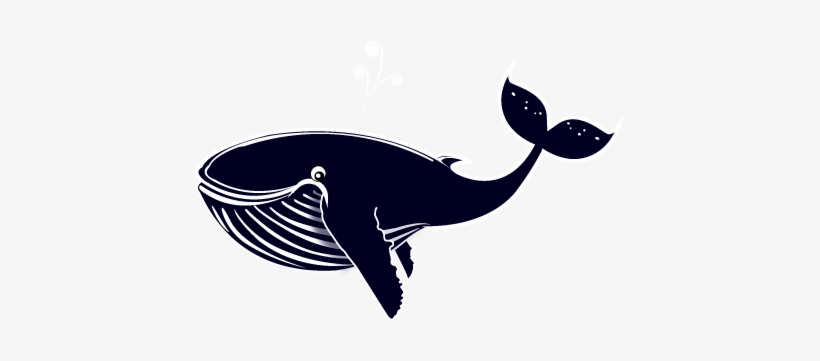 Safari-baleine - Baleine Png, transparent png #3741281