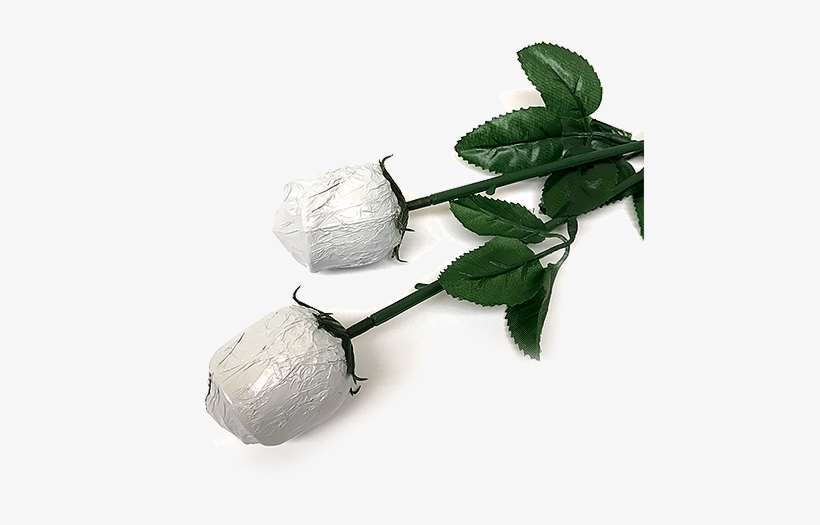 White Foiled Belgian Chocolate Color Splash Roses For - Belgian Chocolate, transparent png #3742456