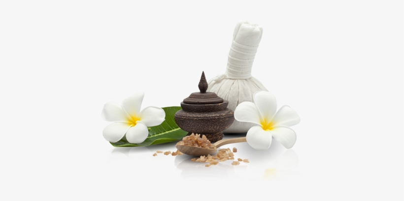 Relaxing Spa - Frangipani, transparent png #3742916