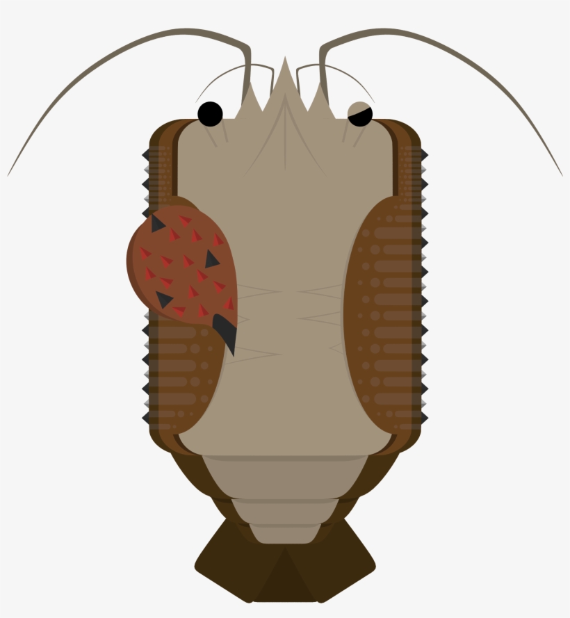 Animalmy Crippled Pet Crayfish - Illustration, transparent png #3743392