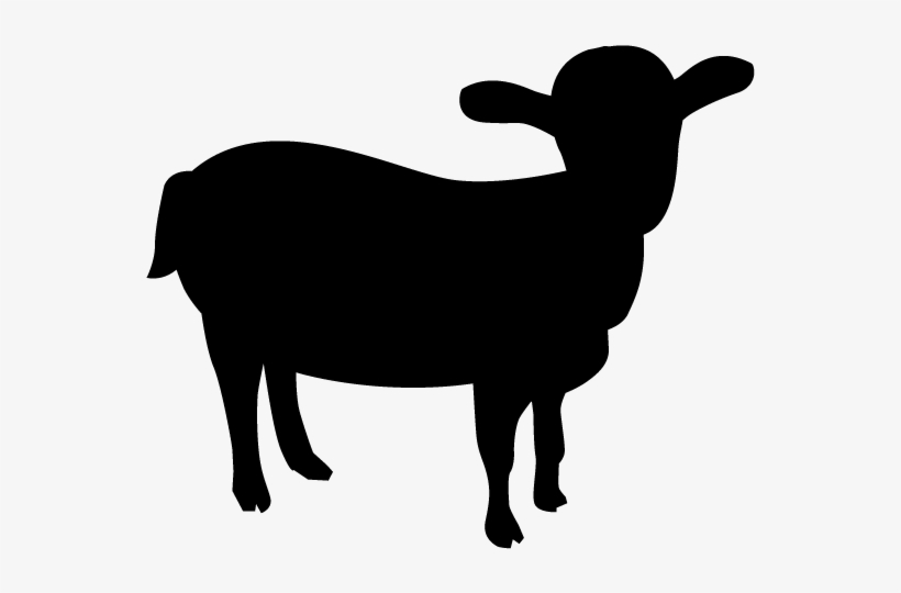 Goat - Silhouette - Animals Illustration - Miniature Australian Shepherd Silhouette, transparent png #3744125