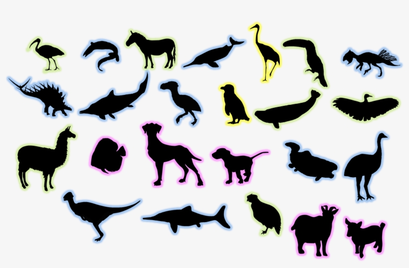 Boer Goat Silhouette N2 - Llama Silhouette, transparent png #3744138