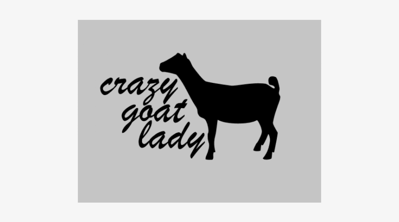 Greeting Card, transparent png #3744342