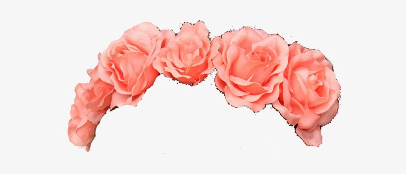 Flower Crown Transparent Tumblr Flower Transparent - Flower Crown Pink Png, transparent png #3745023