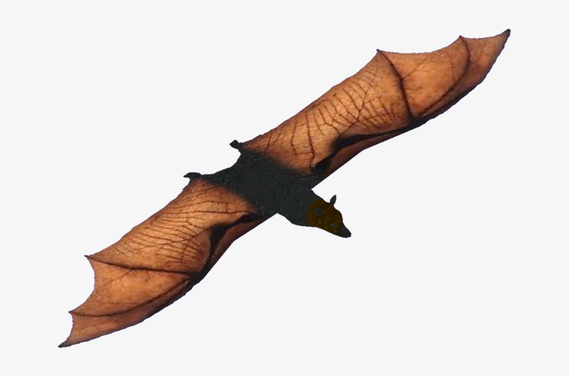 Philippineflyingfox Zt2 Download Library Wikia Philippines Free Transparent Png Download Pngkey