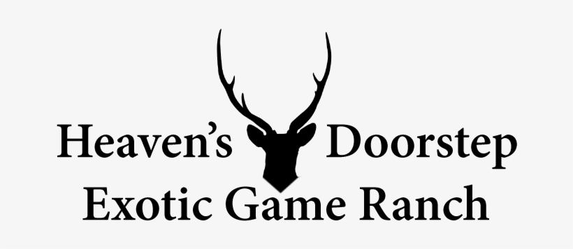 Heaven's Doorstep Heaven's Doorstep - Would Pope Francis Do? By Sean Salai 9781612789606, transparent png #3745663