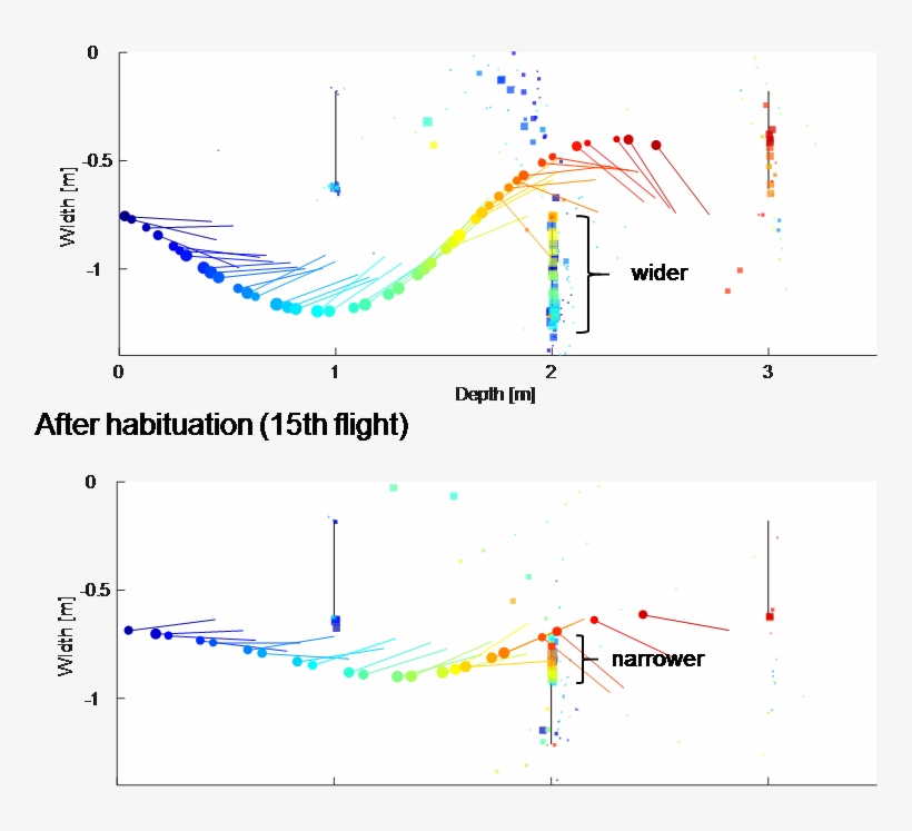 4aab4 Analysis Of Bats' Gaze And Flight Control Based - Diagram, transparent png #3745921