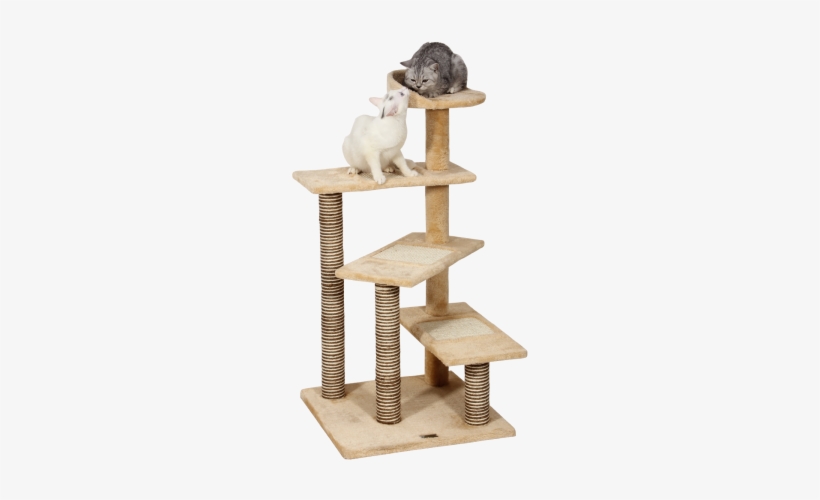 Allieroo 40 Inch H Multi-level Kitten Cat Tree Furniture - Scratching Tower For Cats, transparent png #3747082