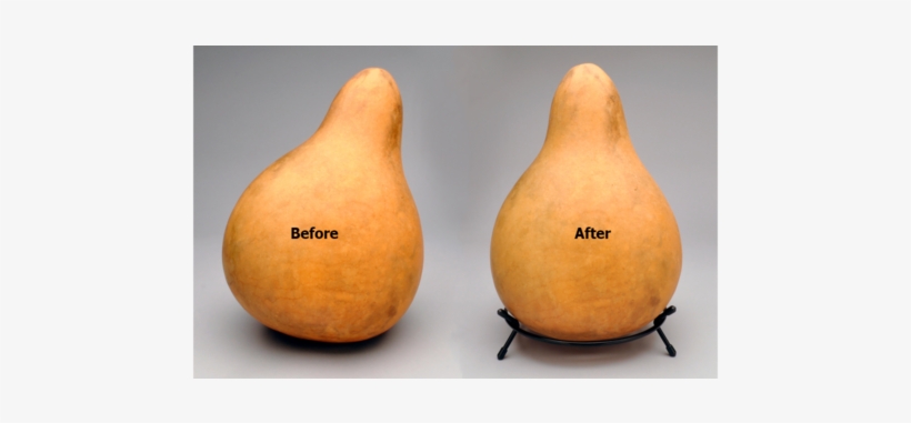 Gourd, transparent png #3749149