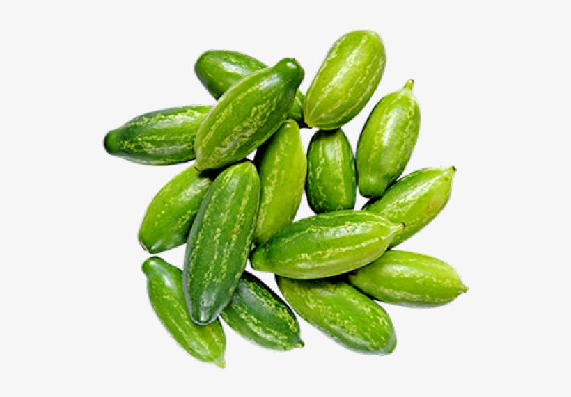Kovakkai Benefits, transparent png #3749636