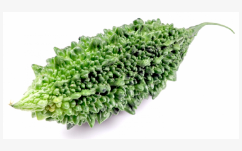 Bitter Gourd Images Png, transparent png #3749680