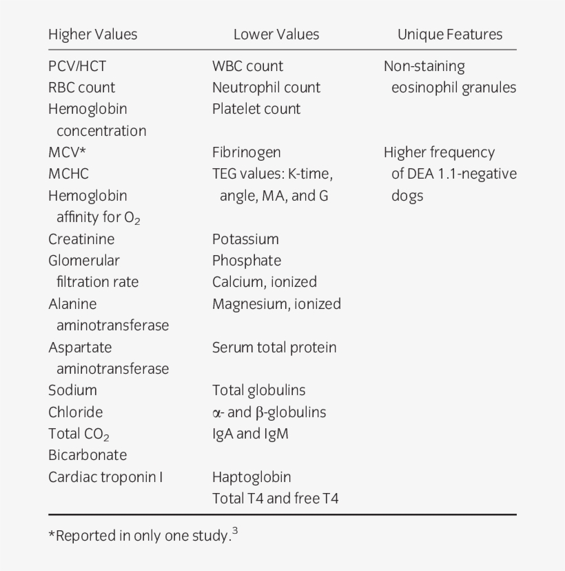 Analytes And Features Characteristic Of Greyhound Dogs - Dog, transparent png #3749749