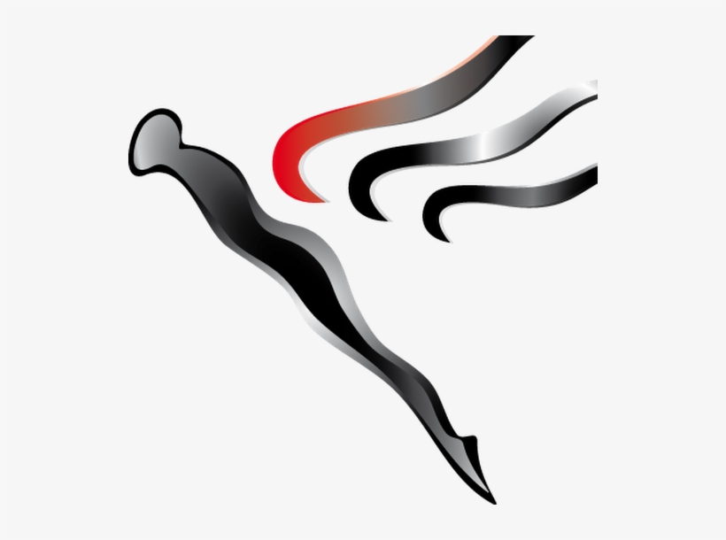 Photo - Photograph, transparent png #3749827