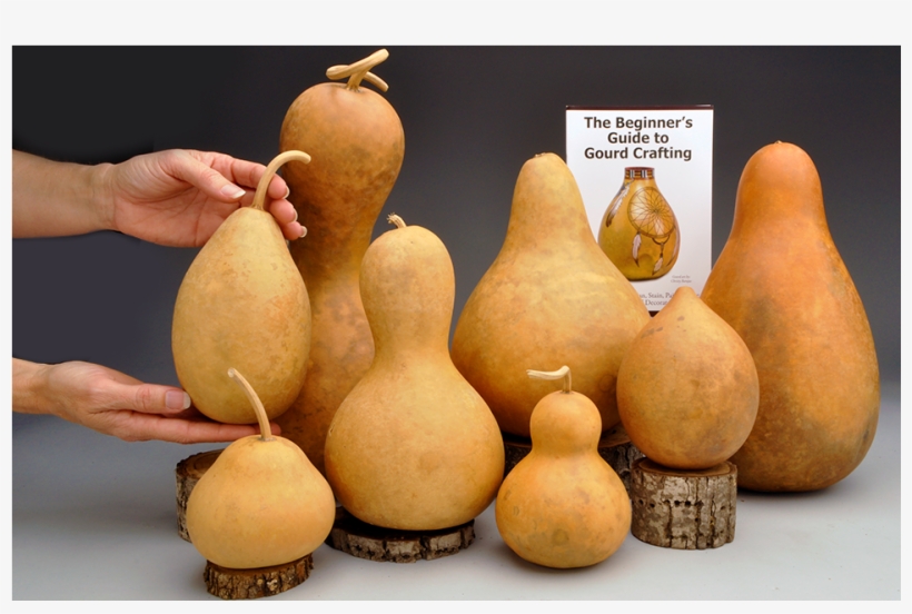 Sampler Gourd Box - Gourd, transparent png #3750029