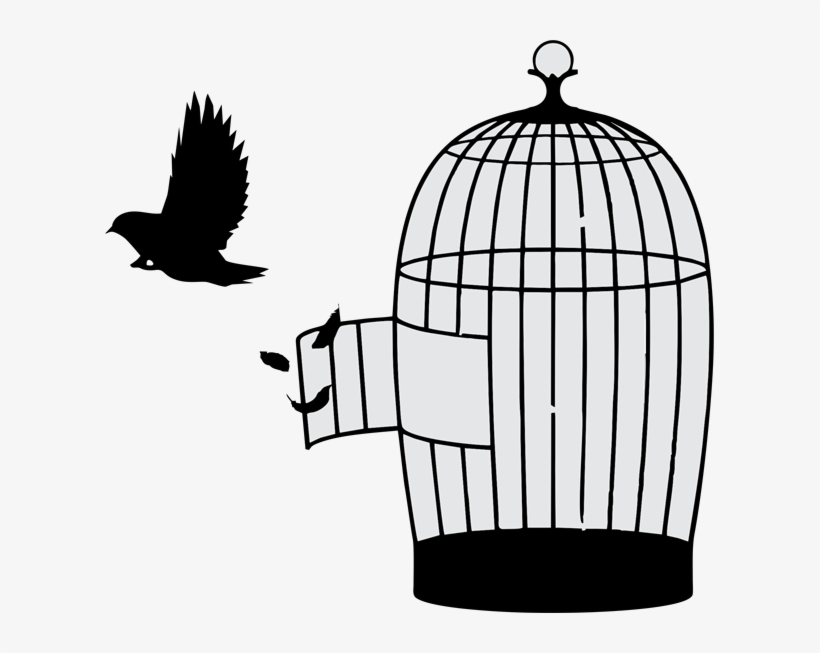 As Design Strategy Consultancy, We Bridge The Gap Between - Bird Out Of Cage, transparent png #3750222