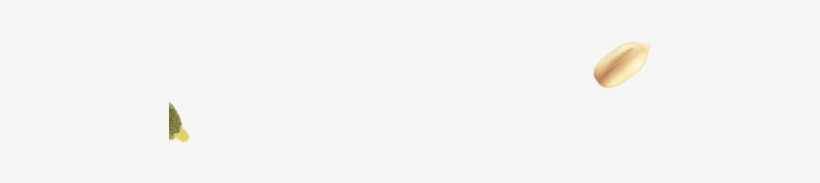 Footer-640x640 - Budgie, transparent png #3750291