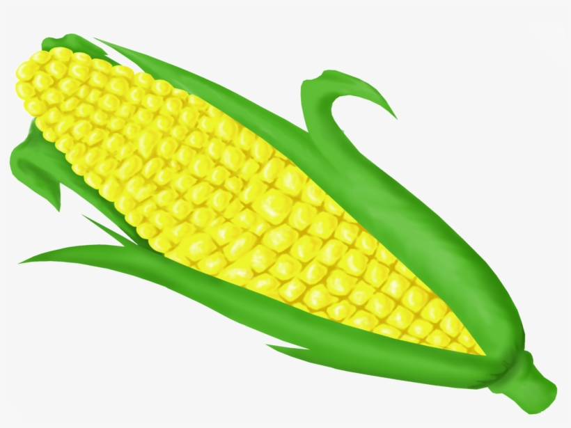 Corn On Cob Clip Art Png Maize Free Transparent PNG Download PNGkey