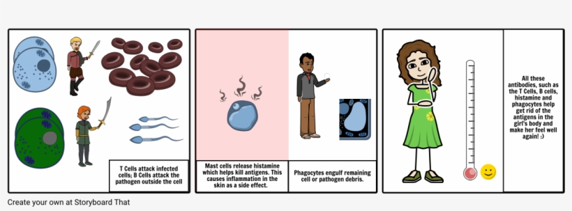 Immune System Pt - Cartoon, transparent png #3750891