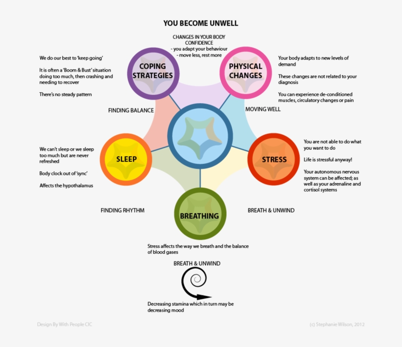 Winter Ailments And The Immune System Balance - Immune System, transparent png #3751473