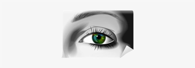 Eye Illustration, transparent png #3753035